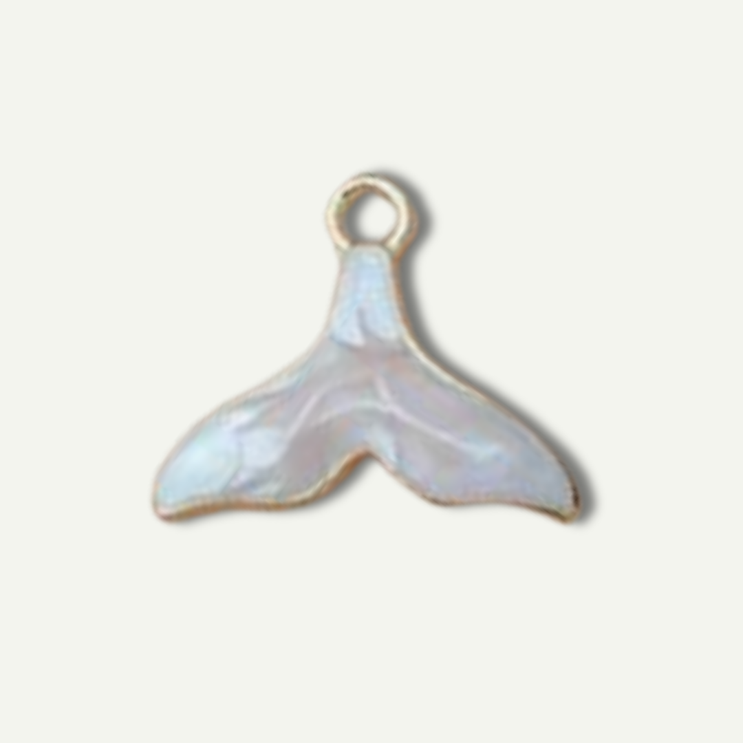 Charm add ons