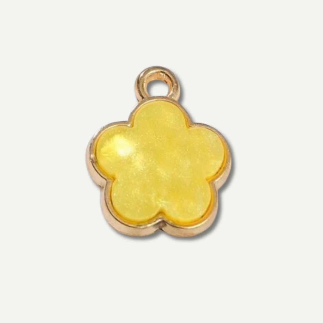 Charm add ons
